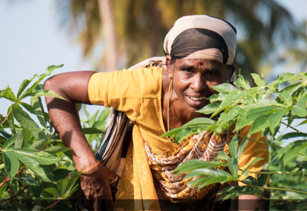 Rural Women: Key to New India’s Agrarian Revolution